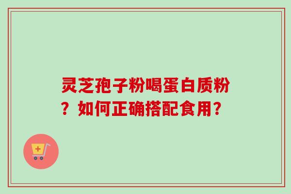 灵芝孢子粉喝蛋白质粉？如何正确搭配食用？-第1张图片-卓岳灵芝孢子粉