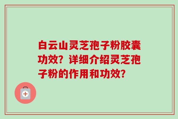 白云山灵芝孢子粉胶囊功效？详细介绍灵芝孢子粉的作用和功效？-第1张图片-卓越灵芝孢子粉