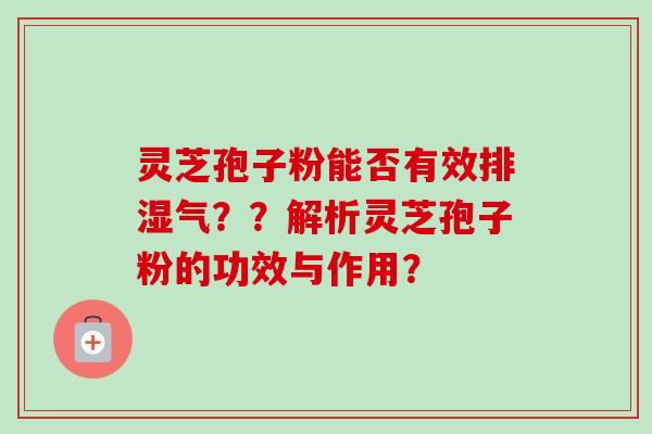 灵芝孢子粉能否有效排湿气？？解析灵芝孢子粉的功效与作用？-第1张图片-卓越灵芝孢子粉