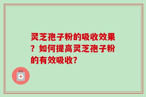 灵芝孢子粉的吸收效果？如何提高灵芝孢子粉的有效吸收？-第1张图片-卓岳灵芝孢子粉