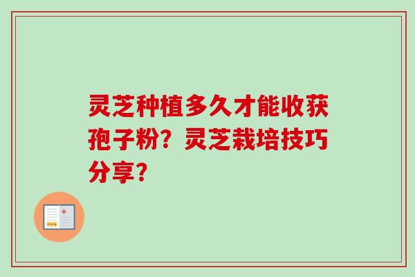 灵芝种植多久才能收获孢子粉?灵芝栽培技巧分享?-第1张图片-卓越灵芝孢子粉 灵芝种植多久才能收获孢子粉?灵芝栽培技巧分享?-第1张图片-卓越灵芝孢子粉