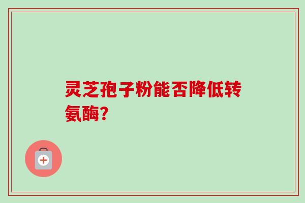 灵芝孢子粉能否降低转氨酶?-第1张图片-卓越灵芝孢子粉 灵芝孢子粉能否降低转氨酶?-第1张图片-卓越灵芝孢子粉