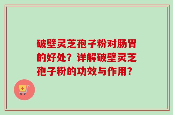 破壁灵芝孢子粉对肠胃的好处?详解破壁灵芝孢子粉的功效与作用?-第1张图片-卓越灵芝孢子粉 破壁灵芝孢子粉对肠胃的好处?详解破壁灵芝孢子粉的功效与作用?-第1张图片-卓越灵芝孢子粉