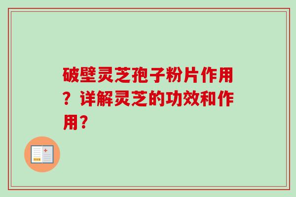 破壁灵芝孢子粉片作用？详解灵芝的功效和作用？-第1张图片-卓越灵芝孢子粉