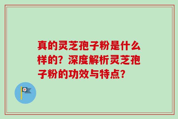 真的灵芝孢子粉是什么样的?深度解析灵芝孢子粉的功效与特点?-第1张图片-卓越灵芝孢子粉 真的灵芝孢子粉是什么样的?深度解析灵芝孢子粉的功效与特点?-第1张图片-卓越灵芝孢子粉