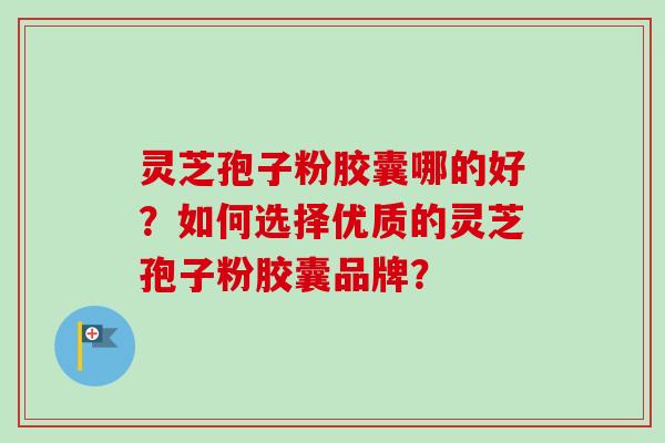 灵芝孢子粉胶囊哪的好?如何选择优质的灵芝孢子粉胶囊品牌?-第1张图片-卓越灵芝孢子粉 灵芝孢子粉胶囊哪的好?如何选择优质的灵芝孢子粉胶囊品牌?-第1张图片-卓越灵芝孢子粉