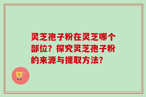 灵芝孢子粉在灵芝哪个部位？探究灵芝孢子粉的来源与提取方法？-第1张图片-卓越灵芝孢子粉