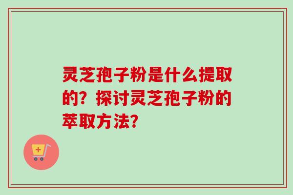 灵芝孢子粉是什么提取的?探讨灵芝孢子粉的萃取方法?-第1张图片-卓越灵芝孢子粉 灵芝孢子粉是什么提取的?探讨灵芝孢子粉的萃取方法?-第1张图片-卓越灵芝孢子粉