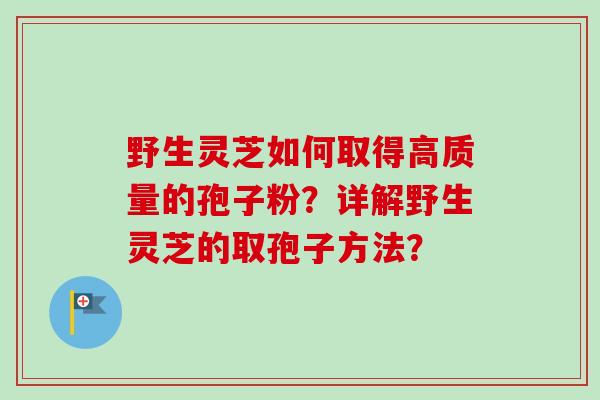 野生灵芝如何取得高质量的孢子粉？详解野生灵芝的取孢子方法？-第1张图片-卓越灵芝孢子粉