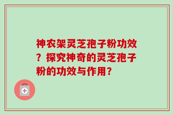 神农架灵芝孢子粉功效？探究神奇的灵芝孢子粉的功效与作用？-第1张图片-卓越灵芝孢子粉
