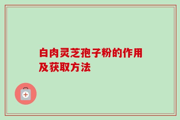 白肉灵芝孢子粉的作用及获取方法-第1张图片-卓越灵芝孢子粉 白肉灵芝孢子粉的作用及获取方法-第1张图片-卓越灵芝孢子粉