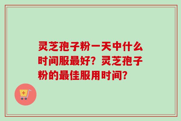 灵芝孢子粉一天中什么时间服最好？灵芝孢子粉的最佳服用时间？-第1张图片-卓越灵芝孢子粉