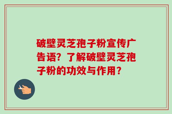 破壁灵芝孢子粉宣传广告语？了解破壁灵芝孢子粉的功效与作用？-第1张图片-卓越灵芝孢子粉