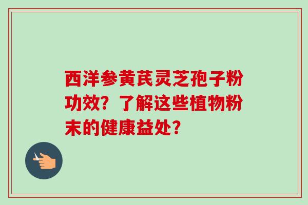 西洋参黄芪灵芝孢子粉功效?了解这些植物粉末的健康益处?-第1张图片-卓越灵芝孢子粉 西洋参黄芪灵芝孢子粉功效?了解这些植物粉末的健康益处?-第1张图片-卓越灵芝孢子粉