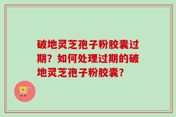 破地灵芝孢子粉胶囊过期?如何处理过期的破地灵芝孢子粉胶囊?-第1张图片-卓越灵芝孢子粉 破地灵芝孢子粉胶囊过期?如何处理过期的破地灵芝孢子粉胶囊?-第1张图片-卓越灵芝孢子粉