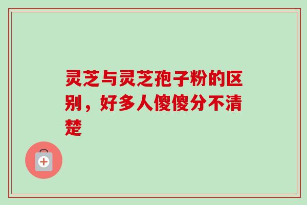 灵芝与灵芝孢子粉的区别，好多人傻傻分不清楚-第1张图片-卓越灵芝孢子粉