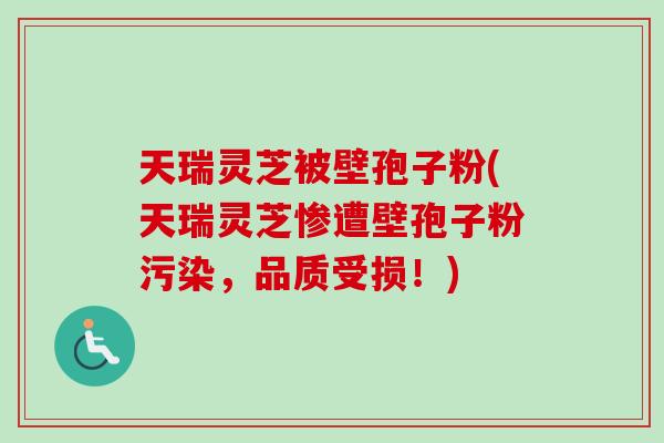 天瑞灵芝被壁孢子粉(天瑞灵芝惨遭壁孢子粉污染，品质受损！)-第1张图片-卓越灵芝孢子粉