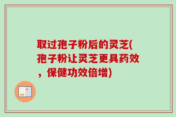 取过孢子粉后的灵芝(孢子粉让灵芝更具药效，保健功效倍增)-第1张图片-卓越灵芝孢子粉