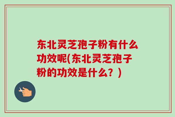 东北灵芝孢子粉有什么功效呢(东北灵芝孢子粉的功效是什么？)-第1张图片-卓越灵芝孢子粉