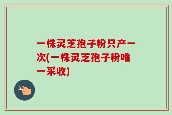 一株灵芝孢子粉只产一次(一株灵芝孢子粉唯一采收)-第1张图片-卓越灵芝孢子粉 一株灵芝孢子粉只产一次(一株灵芝孢子粉唯一采收)-第1张图片-卓越灵芝孢子粉