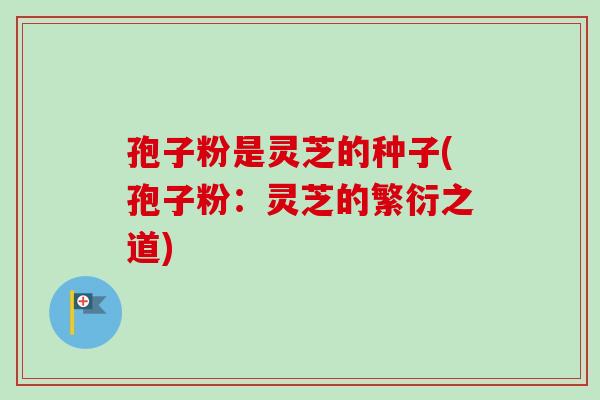 孢子粉是灵芝的种子(孢子粉:灵芝的繁衍之道)-第1张图片-卓越灵芝孢子粉 孢子粉是灵芝的种子(孢子粉:灵芝的繁衍之道)-第1张图片-卓越灵芝孢子粉