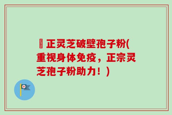 俢正灵芝破壁孢子粉(重视身体免疫，正宗灵芝孢子粉助力！)-第1张图片-卓越灵芝孢子粉