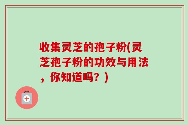 收集灵芝的孢子粉(灵芝孢子粉的功效与用法，你知道吗？)-第1张图片-卓越灵芝孢子粉