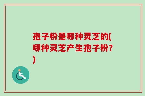 孢子粉是哪种灵芝的(哪种灵芝产生孢子粉?)-第1张图片-卓越灵芝孢子粉 孢子粉是哪种灵芝的(哪种灵芝产生孢子粉?)-第1张图片-卓越灵芝孢子粉