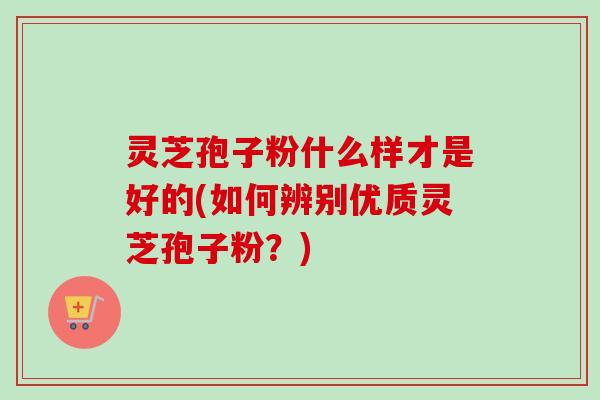 灵芝孢子粉什么样才是好的(如何辨别优质灵芝孢子粉?)-第1张图片-卓越灵芝孢子粉 灵芝孢子粉什么样才是好的(如何辨别优质灵芝孢子粉?)-第1张图片-卓越灵芝孢子粉