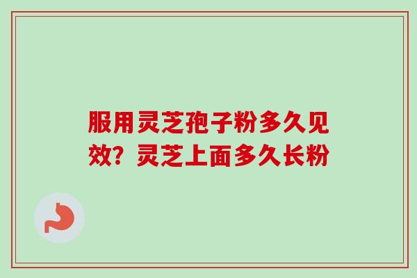 服用灵芝孢子粉多久见效?灵芝上面多久长粉-第1张图片-卓越灵芝孢子粉 服用灵芝孢子粉多久见效?灵芝上面多久长粉-第1张图片-卓越灵芝孢子粉