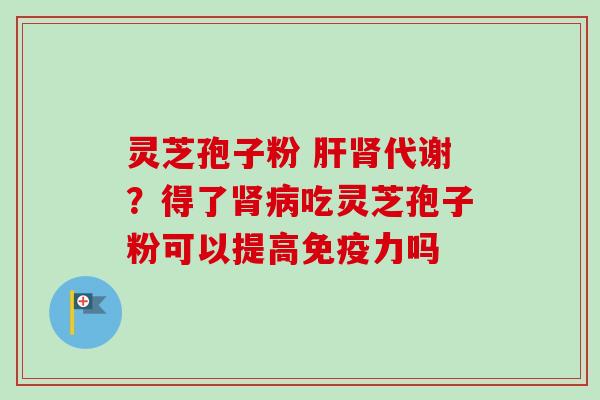 灵芝孢子粉 肝肾代谢？得了肾病吃灵芝孢子粉可以提高免疫力吗-第1张图片-卓越灵芝孢子粉