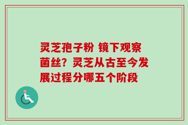 灵芝孢子粉 镜下观察菌丝?灵芝从古至今发展过程分哪五个阶段-第1张图片-卓越灵芝孢子粉 灵芝孢子粉 镜下观察菌丝?灵芝从古至今发展过程分哪五个阶段-第1张图片-卓越灵芝孢子粉