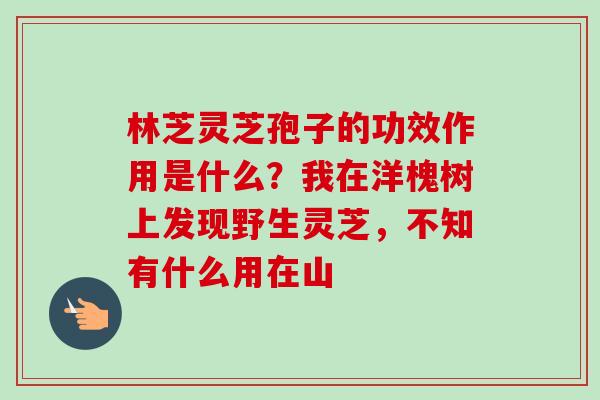 林芝灵芝孢子的功效作用是什么?我在洋槐树上发现野生灵芝,不知有什么用在山-第1张图片-卓越灵芝孢子粉 林芝灵芝孢子的功效作用是什么?我在洋槐树上发现野生灵芝,不知有什么用在山-第1张图片-卓越灵芝孢子粉