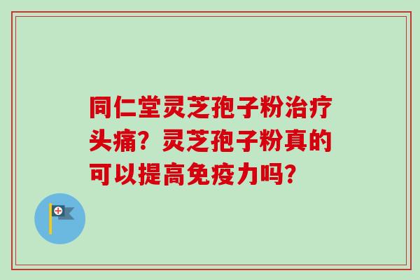 同仁堂灵芝孢子粉治疗头痛？灵芝孢子粉真的可以提高免疫力吗？-第1张图片-卓越灵芝孢子粉