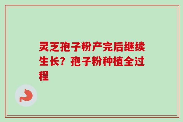 灵芝孢子粉产完后继续生长？孢子粉种植全过程-第1张图片-卓越灵芝孢子粉
