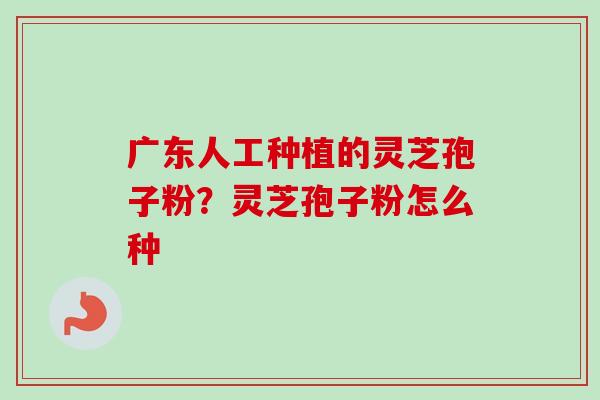 广东人工种植的灵芝孢子粉?灵芝孢子粉怎么种-第1张图片-卓越灵芝孢子粉 广东人工种植的灵芝孢子粉?灵芝孢子粉怎么种-第1张图片-卓越灵芝孢子粉