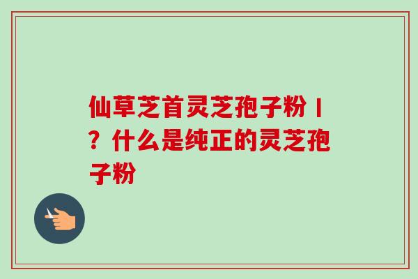 仙草芝首灵芝孢子粉丨?什么是纯正的灵芝孢子粉-第1张图片-卓越灵芝孢子粉 仙草芝首灵芝孢子粉丨?什么是纯正的灵芝孢子粉-第1张图片-卓越灵芝孢子粉