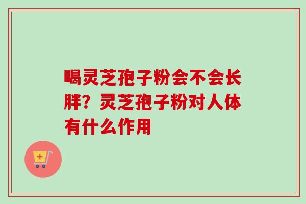 喝灵芝孢子粉会不会长胖？灵芝孢子粉对人体有什么作用-第1张图片-卓越灵芝孢子粉