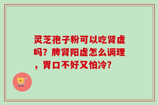 灵芝孢子粉可以吃肾虚吗?脾肾阳虚怎么调理,胃口不好又怕冷?-第1张图片-卓越灵芝孢子粉 灵芝孢子粉可以吃肾虚吗?脾肾阳虚怎么调理,胃口不好又怕冷?-第1张图片-卓越灵芝孢子粉