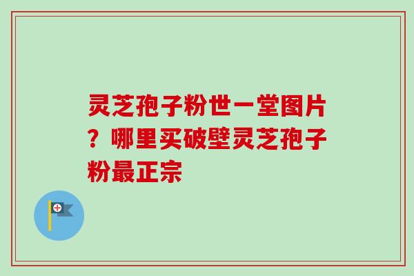灵芝孢子粉世一堂图片？哪里买破壁灵芝孢子粉最正宗-第1张图片-卓越灵芝孢子粉