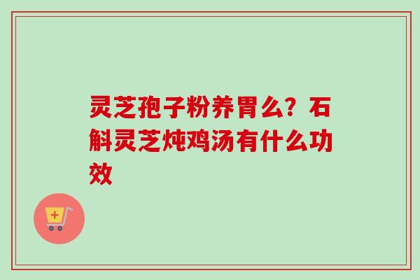 灵芝孢子粉养胃么？石斛灵芝炖鸡汤有什么功效-第1张图片-卓越灵芝孢子粉