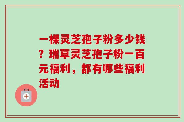一棵灵芝孢子粉多少钱?瑞草灵芝孢子粉一百元福利,都有哪些福利活动-第1张图片-卓越灵芝孢子粉 一棵灵芝孢子粉多少钱?瑞草灵芝孢子粉一百元福利,都有哪些福利活动-第1张图片-卓越灵芝孢子粉