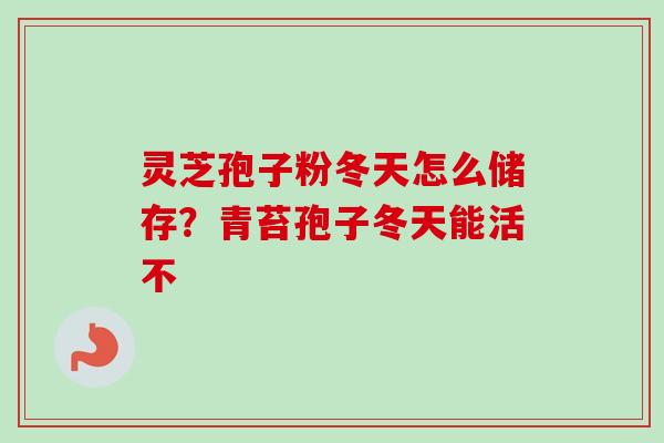 灵芝孢子粉冬天怎么储存？青苔孢子冬天能活不-第1张图片-卓越灵芝孢子粉