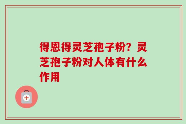得恩得灵芝孢子粉？灵芝孢子粉对人体有什么作用-第1张图片-卓越灵芝孢子粉