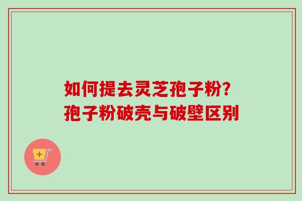 如何提去灵芝孢子粉?孢子粉破壳与破壁区别-第1张图片-卓越灵芝孢子粉 如何提去灵芝孢子粉?孢子粉破壳与破壁区别-第1张图片-卓越灵芝孢子粉