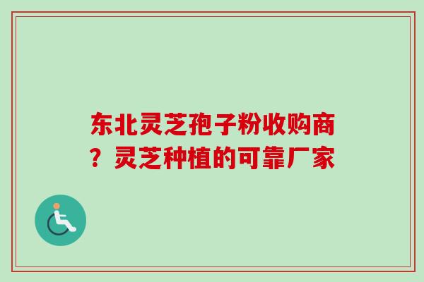 东北灵芝孢子粉收购商?灵芝种植的可靠厂家-第1张图片-卓越灵芝孢子粉 东北灵芝孢子粉收购商?灵芝种植的可靠厂家-第1张图片-卓越灵芝孢子粉