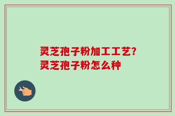 灵芝孢子粉加工工艺?灵芝孢子粉怎么种-第1张图片-卓越灵芝孢子粉 灵芝孢子粉加工工艺?灵芝孢子粉怎么种-第1张图片-卓越灵芝孢子粉