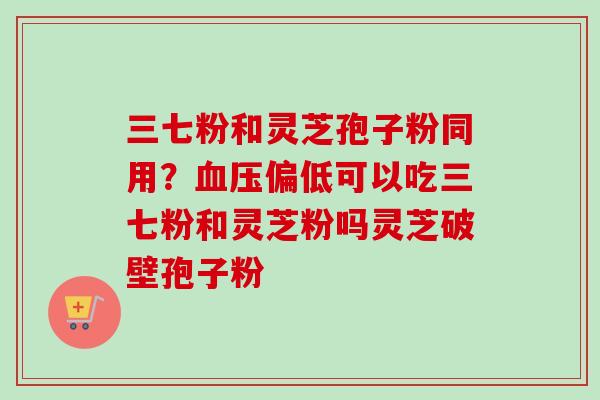 三七粉和灵芝孢子粉同用？血压偏低可以吃三七粉和灵芝粉吗灵芝破壁孢子粉-第1张图片-卓越灵芝孢子粉