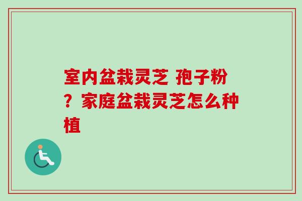 室内盆栽灵芝 孢子粉？家庭盆栽灵芝怎么种植-第1张图片-卓越灵芝孢子粉