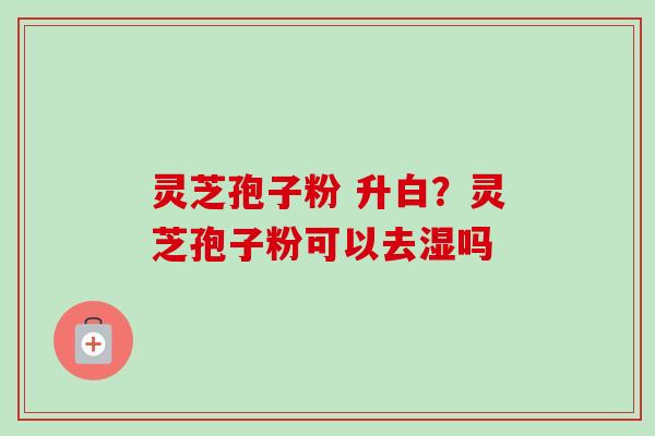 灵芝孢子粉 升白?灵芝孢子粉可以去湿吗-第1张图片-卓越灵芝孢子粉 灵芝孢子粉 升白?灵芝孢子粉可以去湿吗-第1张图片-卓越灵芝孢子粉